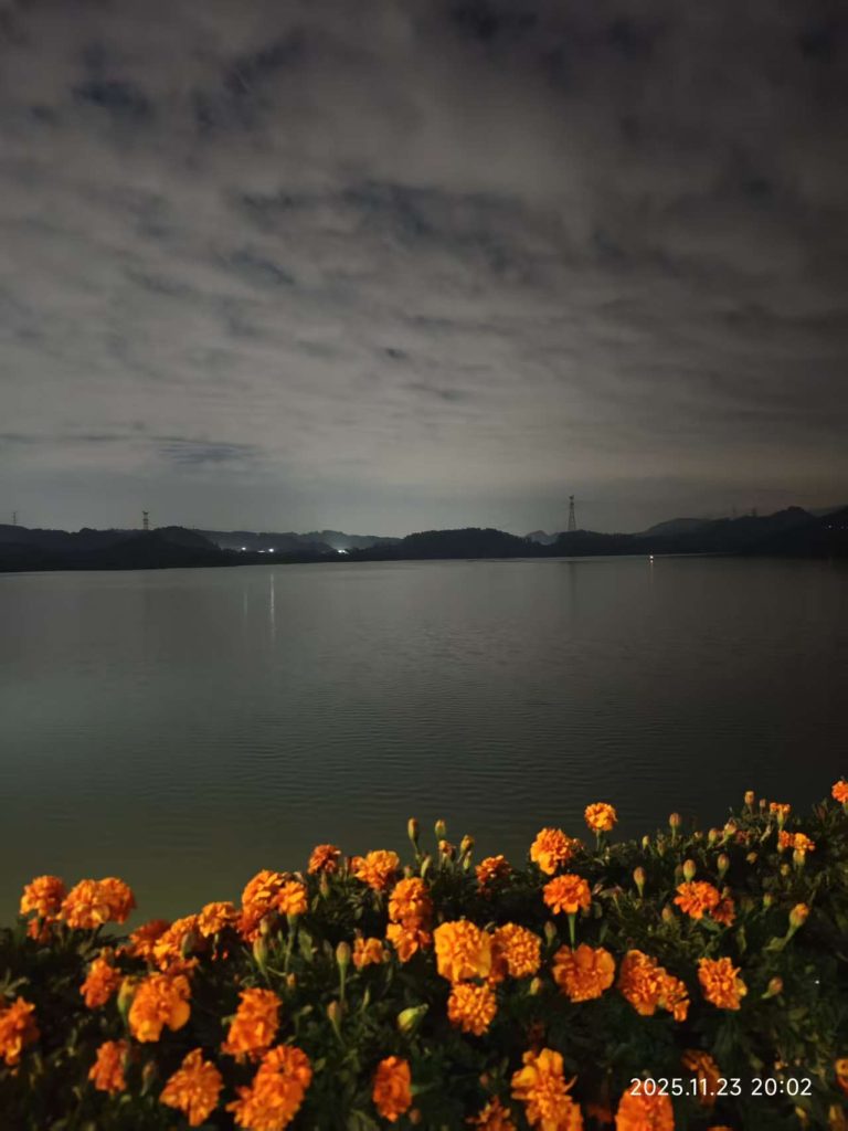 [笔记]：深夜摘抄，待整理，幽而待明